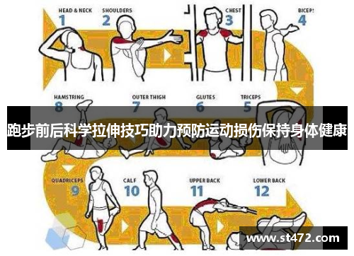 跑步前后科学拉伸技巧助力预防运动损伤保持身体健康