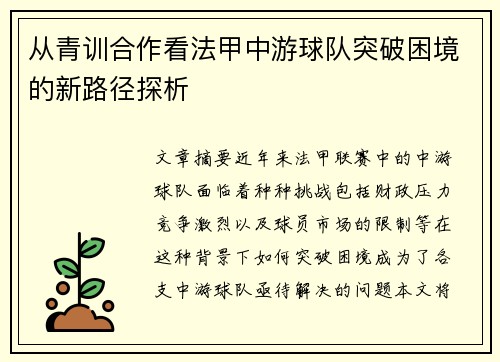 从青训合作看法甲中游球队突破困境的新路径探析